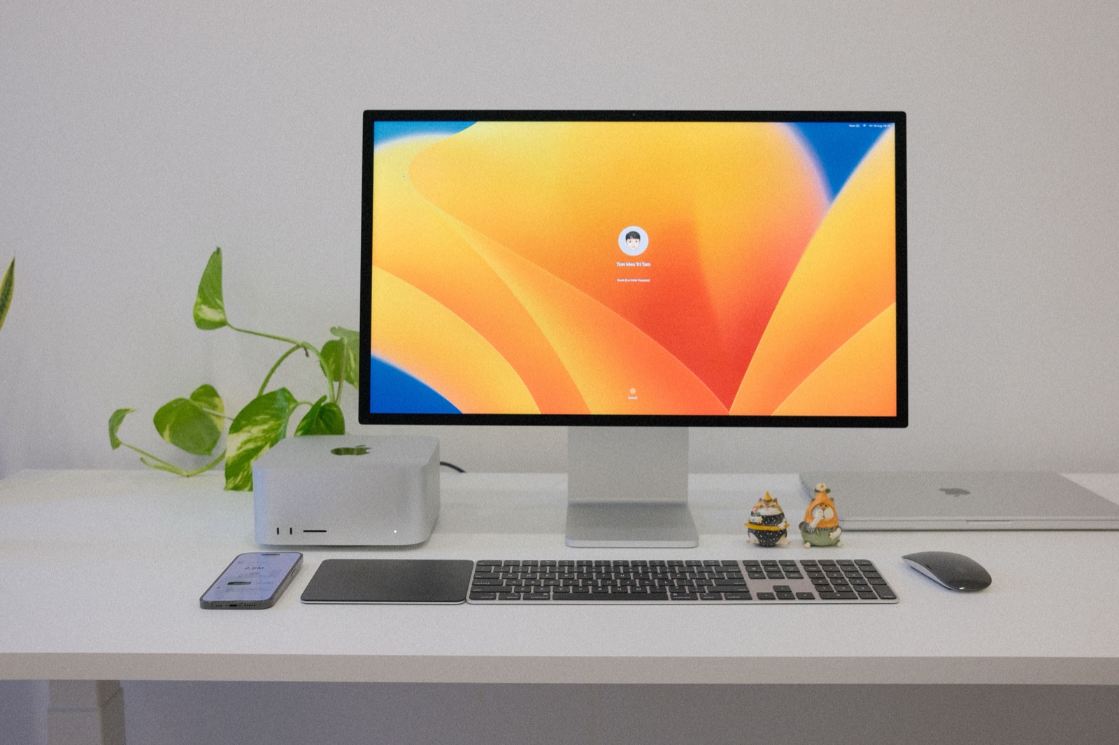 Executive suite workspace setup